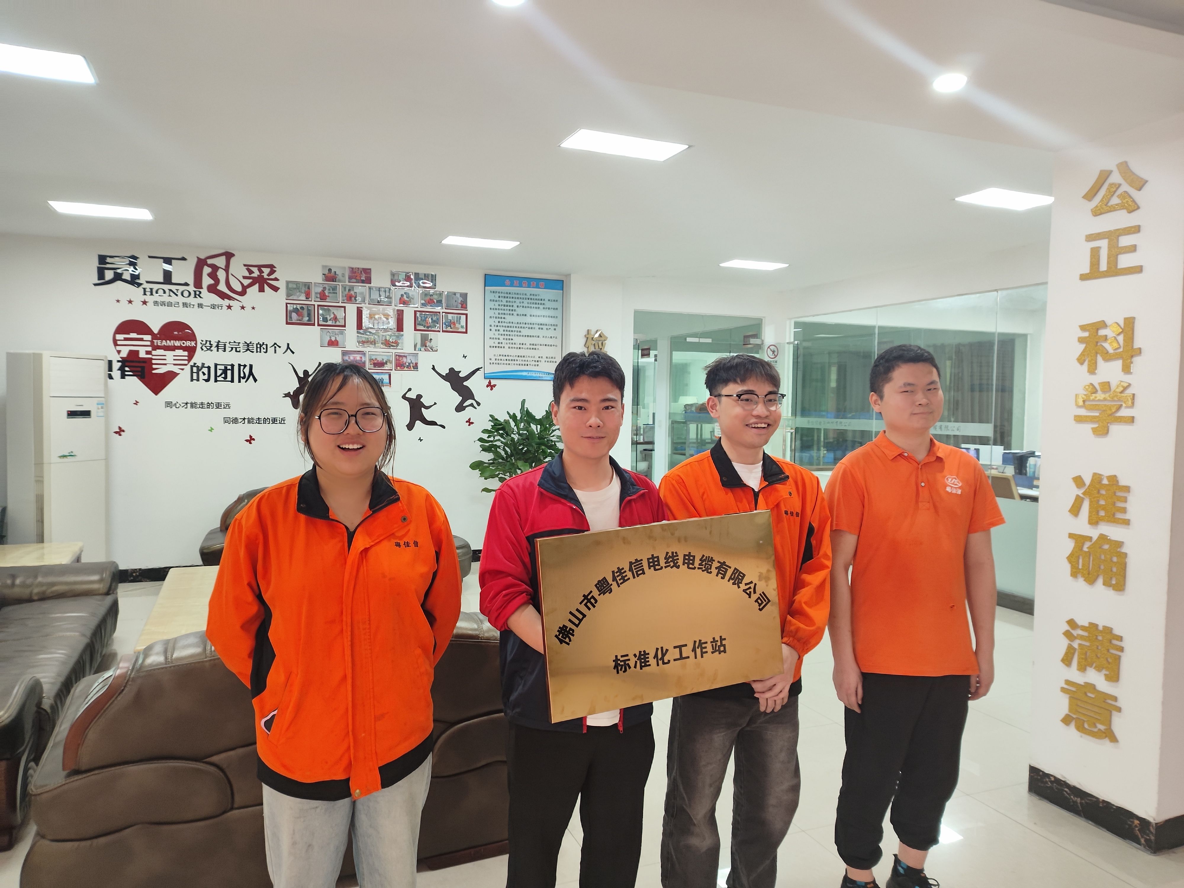 佛山市粤佳信电线电缆有限公司标准化试点工作顺利推进
