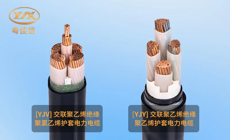 微信图片_20251202162004_1011_45 微信图片_20251202162004_1011_45