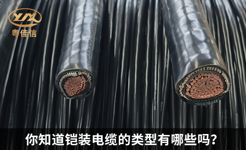 你知道铠装电缆的类型有哪些吗?