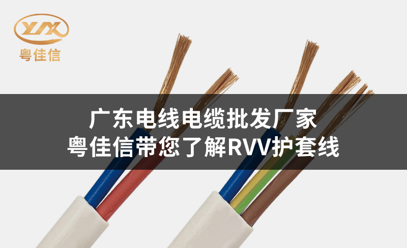 广东电线电缆批发厂家粤佳信带您了解RVV护套线